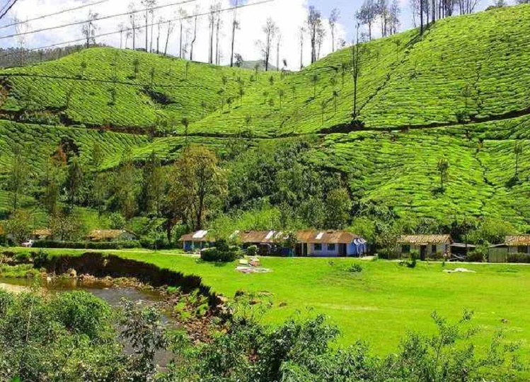 Travel Tips: कुर्ग में घूमने का है अभी अच्छा समय, बना लें इस हिल स्टेशन पर जाने का प्लान