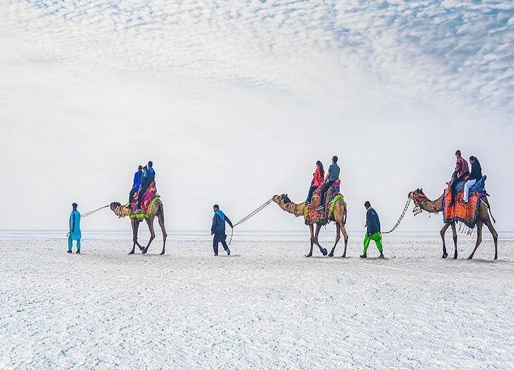 Travel Tips: कच्छ की प्राकृतिक सुंदरता और सांस्कृतिक विविधता जीत लेगी आपका दिल, बना लें घूमने का प्लान