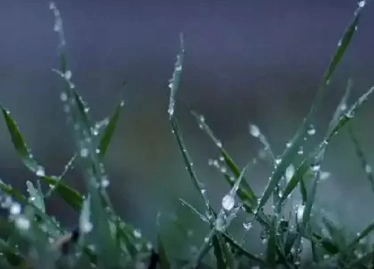 Rajasthan weather update: प्रदेश के इतने जिलों में आज हो सकती बारिश, चार डिग्री तक गिर सकता है तापमान