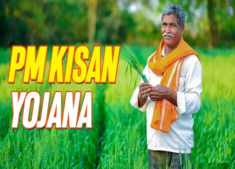 PM Kisan Yojana:  इन किसानों को होना पड़ेगा निराश, नहीं मिलेगी योजना की 19वीं किस्त