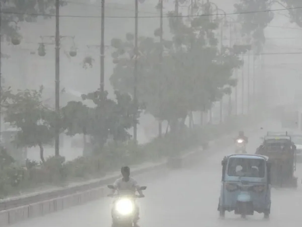 Rajasthan weather update: 15 जिलों के लिए जारी हुआ है बारिश और घने कोहरे का अलर्ट, गिर सकते हैं ओले भी