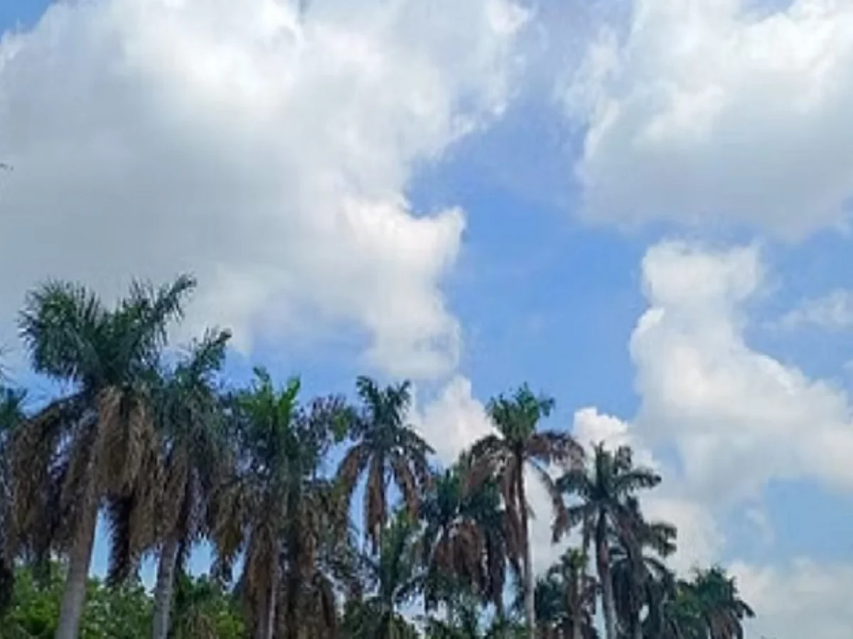 Rajasthan weather update: प्रदेश में अब बढ़ने लगा है तापमान, जारी तक दिया गया है ये अलर्ट
