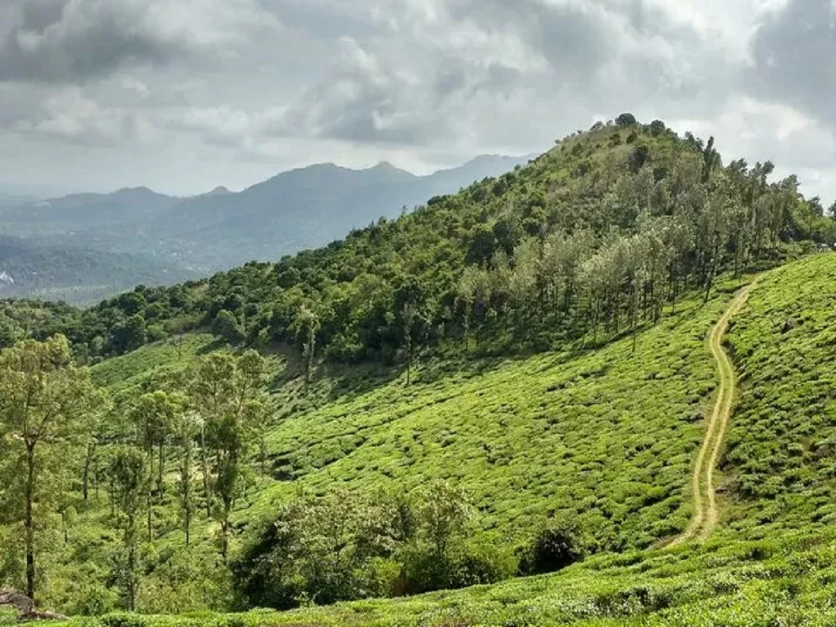 Travel Tips: अपनी प्राकृतिक खूबसूरती के लिए प्रसिद्ध हैं वायनाड और वर्कला, बना लें घूमने का प्लान