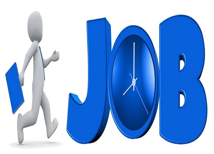job news 2025: पशुपालन निगम लिमिटेड में निकली हैं कई पदों पर भर्ती, जान ले योग्यता और सैलेरी