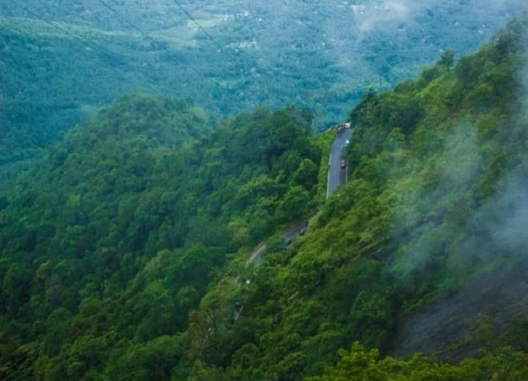 Travel Tips:  बहुत ही शानदार हिल स्टेशन है वायनाड, करीब से देखने को मिलेगी प्राकृतिक खूबूसरती