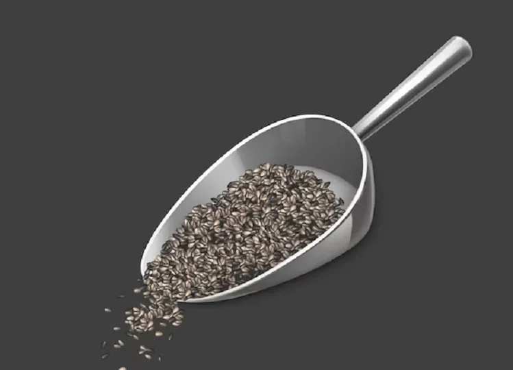Health Tips: रोजाना सुबह पी लें चिया सीड्स का पानी, सेहत को मिलेंगे ये लाभ