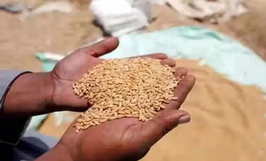 Government scheme: इन लोगों को 31 मार्च के बाद नहीं मिलेगा फ्री अनाज, जान लें आप