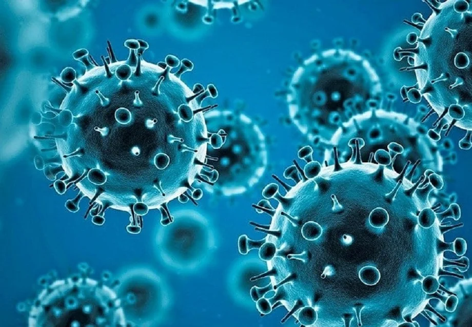 Health: फिर से दे दी है  Coronavirus HKU1 ने दस्तक, इसका बढ़ सकता है खतरा