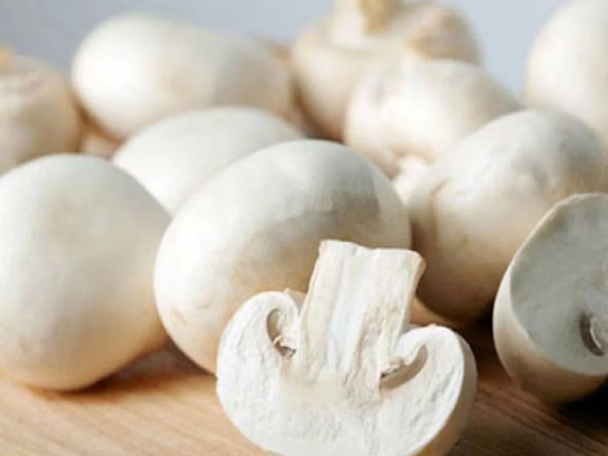 Health Tips: मशरूम खाने से कम हो जाता है गंभीर बीमारियों का खतरा, जान लें आप