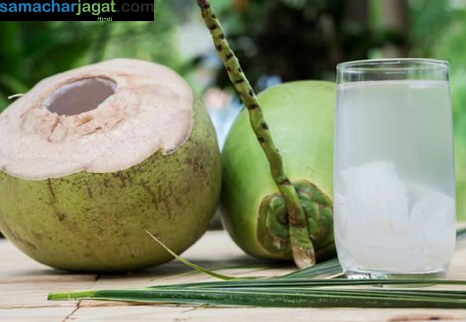 Health Tips: सेहत से जुड़ी कई प्रकार की परेशानियों को दूर कर देता है नारियल पानी, सप्ताह में तीन दिन पीने से मिलेंगे ये लाभ