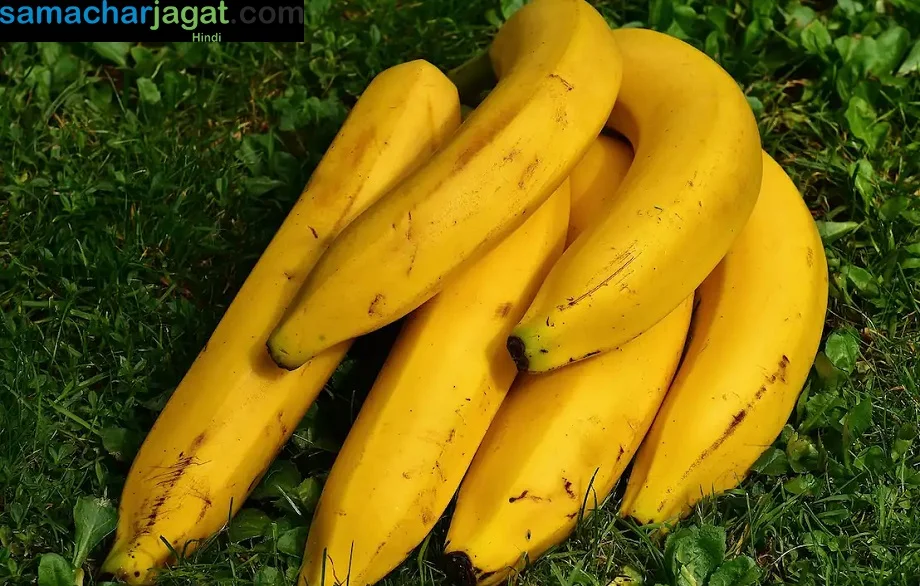 Health Tips: इन चीजों के साथ भूलकर भी नहीं करें केले का सेवन, झेलनी पड़ सकती हैं कई परेशानियां 