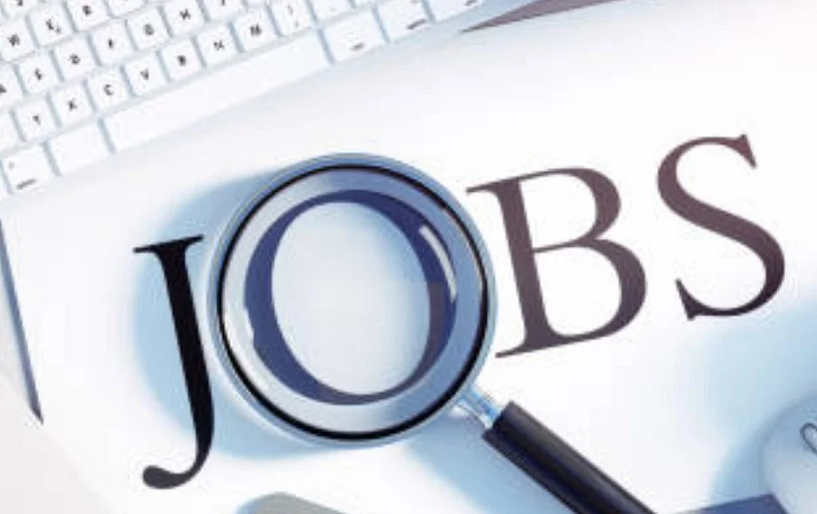 Government Jobs: क्षेत्र सहायक के रिक्त पदों पर निकली भर्ती, इनके पास होगा आवेदन करने का मौका