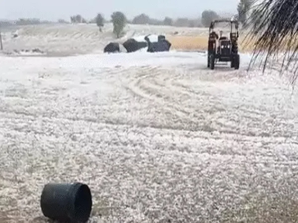 Rajasthan Weather Update: तेज आंधी-बारिश और ओलावृष्टि की दे दी चेतावनी, बढ़ कई है किसानों की चिंता