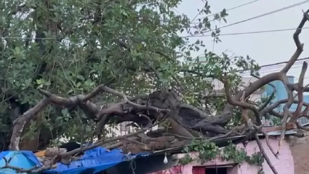 Breaking! दिल्ली में तेज आंधी-तूफान का कहर: पेड़ गिरने से तीन बच्चों की मौत, कई घायल