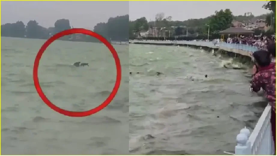 जम्मू कश्मीर में एक और हादसा, पर्यटक स्थल डल झील में शिकारा के ...