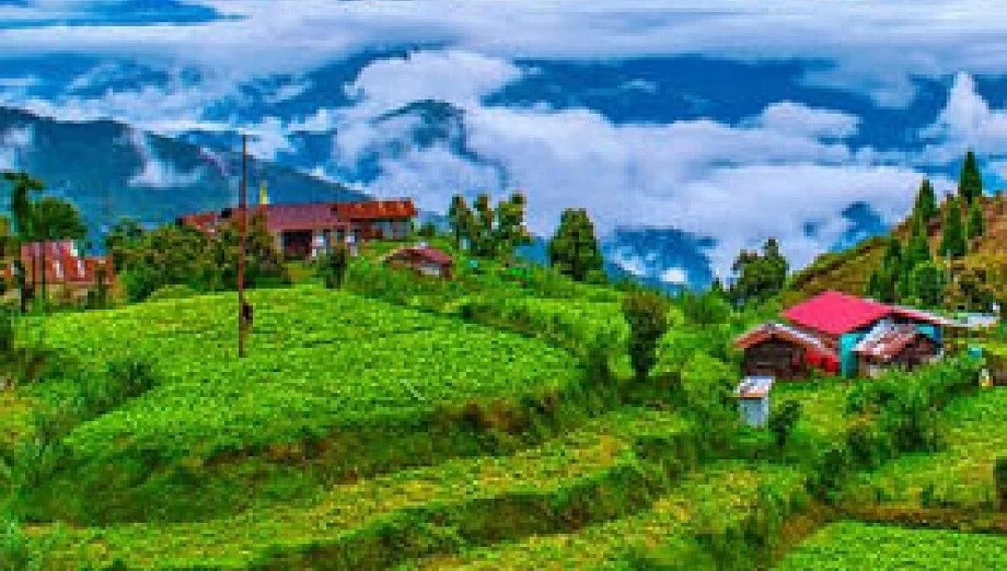 Travel Tips: गर्मी के मौसम में पत्नी के साथ बना लें दार्जिलिंग घूमने का प्लान, इस कारण यादगार बनेगा टूर