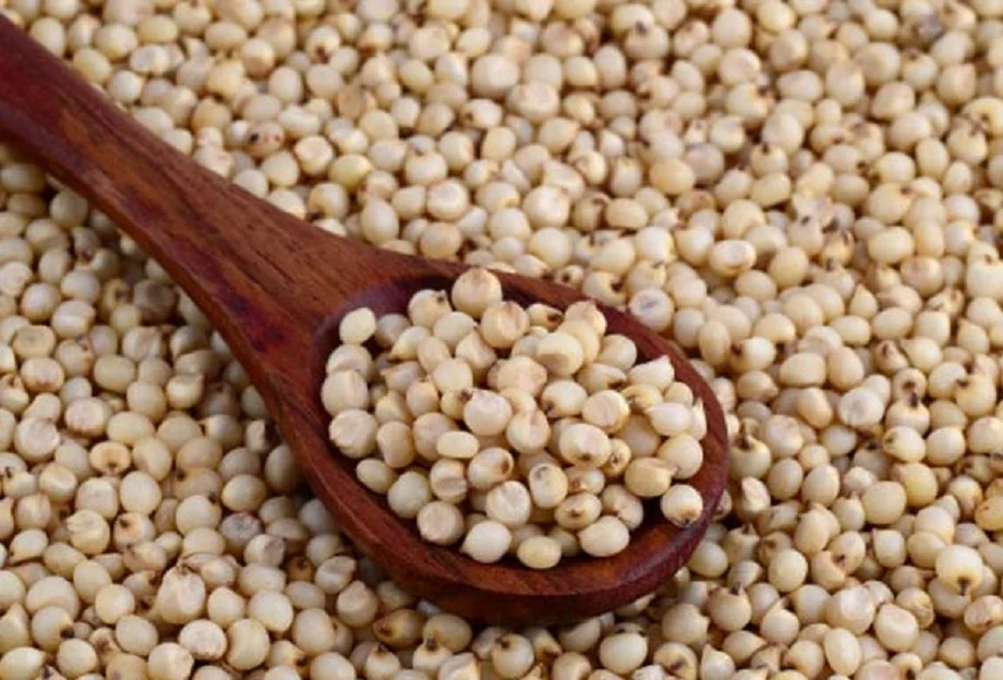 Health Tips:  सेहत के लिए कई प्रकार से लाभकारी होता है ज्वार, सेवन करने से मिलते हैं ये फायदे