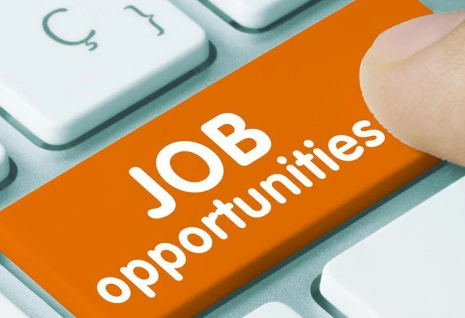 Government Jobs: असिस्टेंट प्रोफेसर पद की भर्ती के लिए इस दिन तक किया जा सकता है आवेदन 