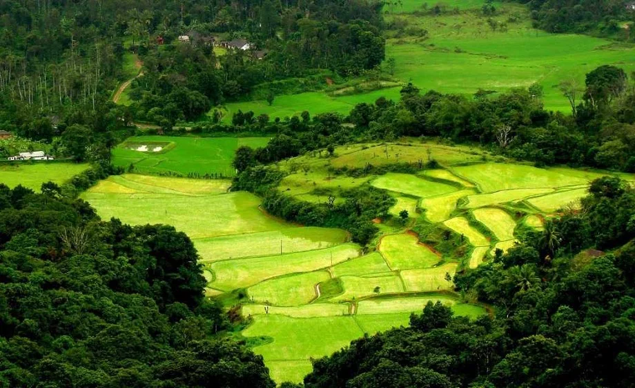 Travel Tips:  मानसून में दोगुनी हो जाती है कूर्ग की सुंदरता, बना लें पार्टनर के साथ घूमने का प्लान