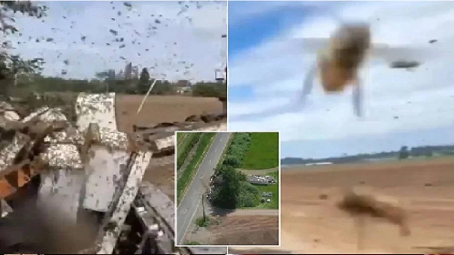 Bee Attack : वाशिंगटन हाईवे पर एक्सीडेंट के बाद 250 मिलियन मधुमक्खियां सड़क पर, लग गया लंबा जाम... 