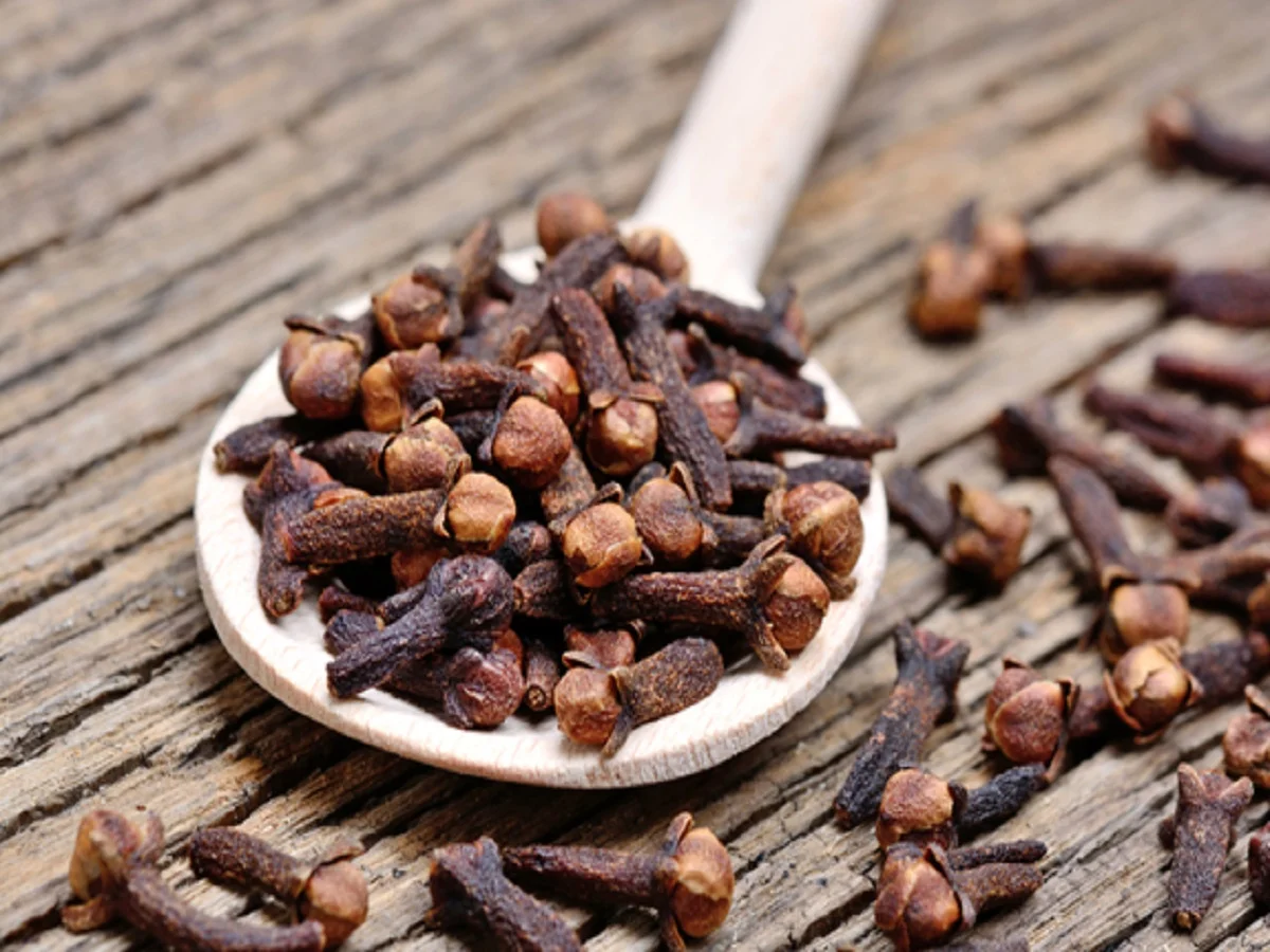Health Tips: सेहत के लिए कई प्रकार से लाभकारी होती है लौंग, जानकर रह जाएंगे हैरान