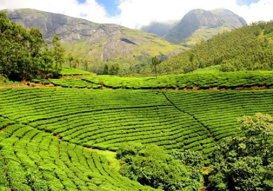 Travel Tips: बना लें परिवार के साथ असम घूमने का प्लान, इस कारण यादगार बन जाएगा टूर