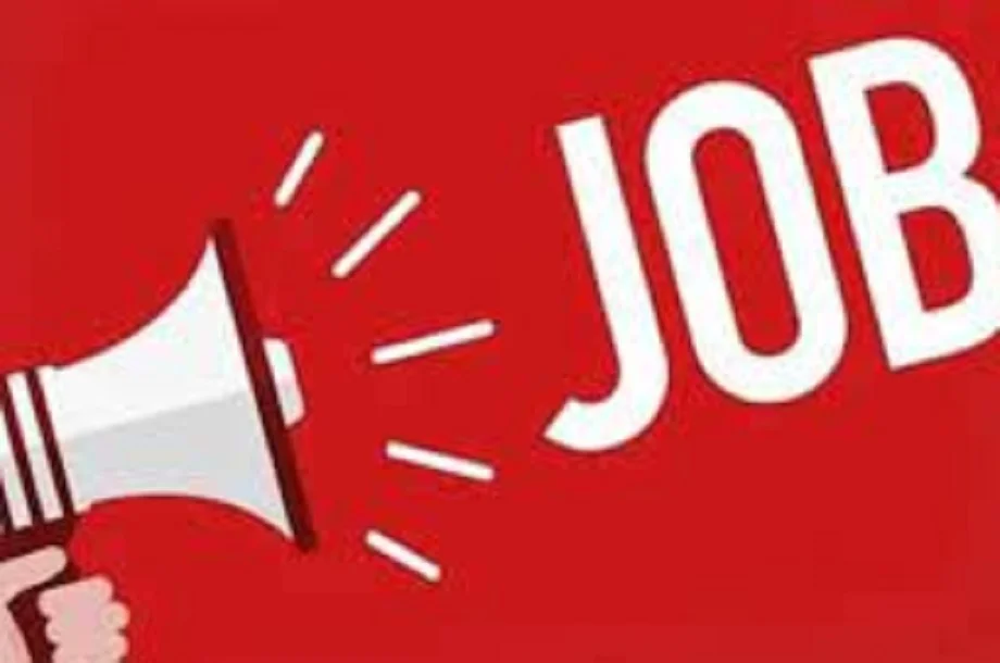 Maharashtra Job: बिजली विभाग में निकली 249 पदों पर भर्ती, ये अभ्यर्थी कर सकते हैं आवेदन