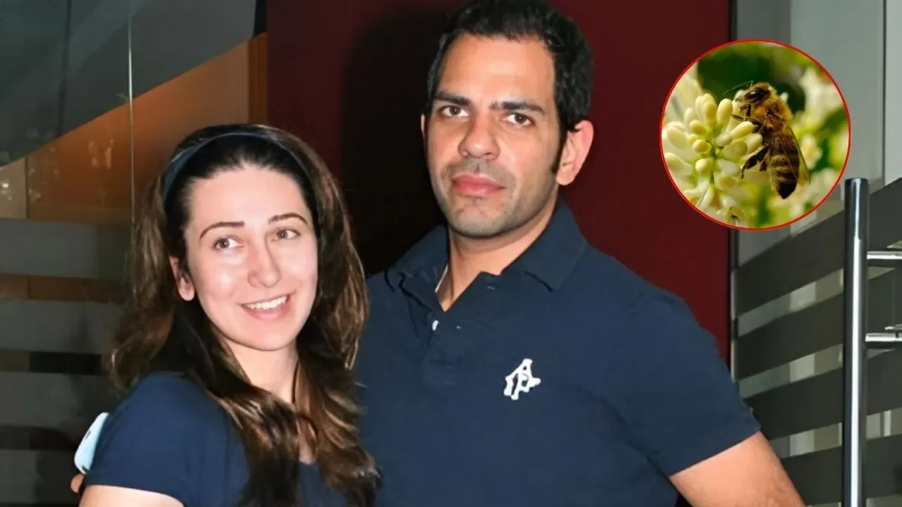 Sunjay Kapur Death: पोलो खेलते समय हादसा, मधुमक्खी के डंक से हार्ट अटैक — करिश्मा कपूर के एक्स हसबैंड का दुखद निधन