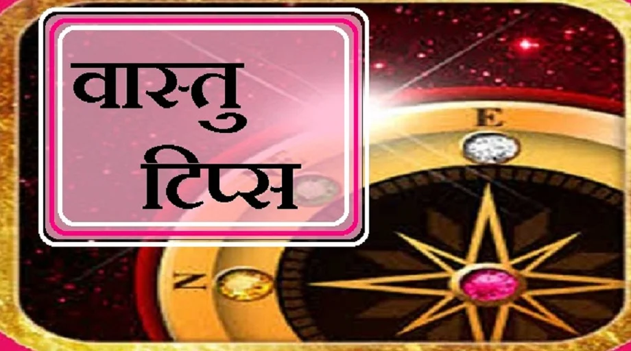 Vastu Tips:  मनी प्लांट ही नहीं, इन तीन पौधों को घर में लगाना भी होता है बहुत ही शुभ 