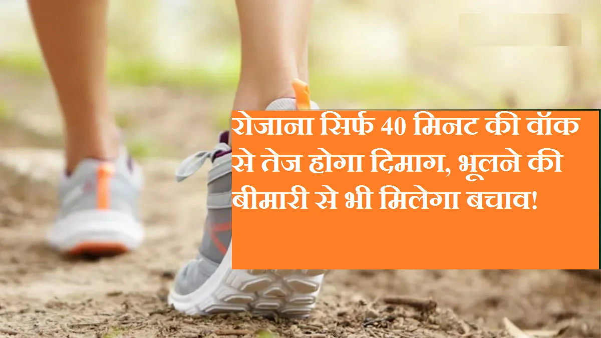 रोजाना सिर्फ 40 मिनट की वॉक से तेज होगा दिमाग, भूलने की बीमारी से भी मिलेगा बचाव!