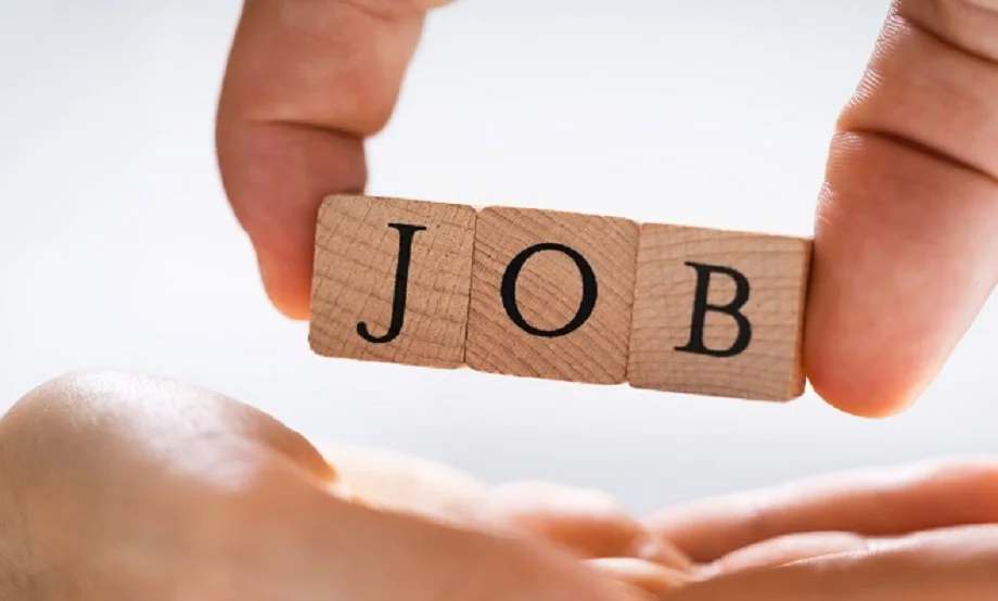 Job News: हिंदी ट्रांसलेटर सहित इन पदों पर निकली है भर्ती, इस तारीख तक आवेदन करने का है मौका 