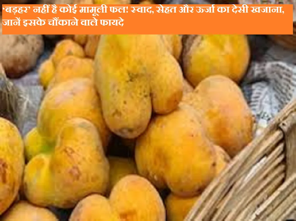 ‘बड़हर’ नहीं है कोई मामूली फल! स्वाद, सेहत और ऊर्जा का देसी खजाना, जानें इसके चौंकाने वाले फायदे