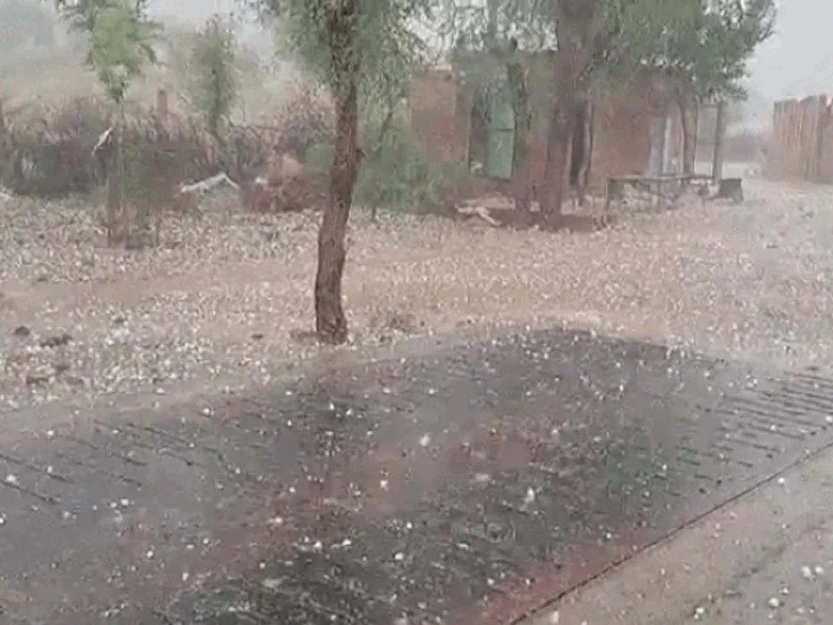 Rajasthan Weather Update: सक्रिय हो रहा है नया पश्चिमी विक्षोभ, बारिश और आंधी की गतिविधियों में होगा इजाफा