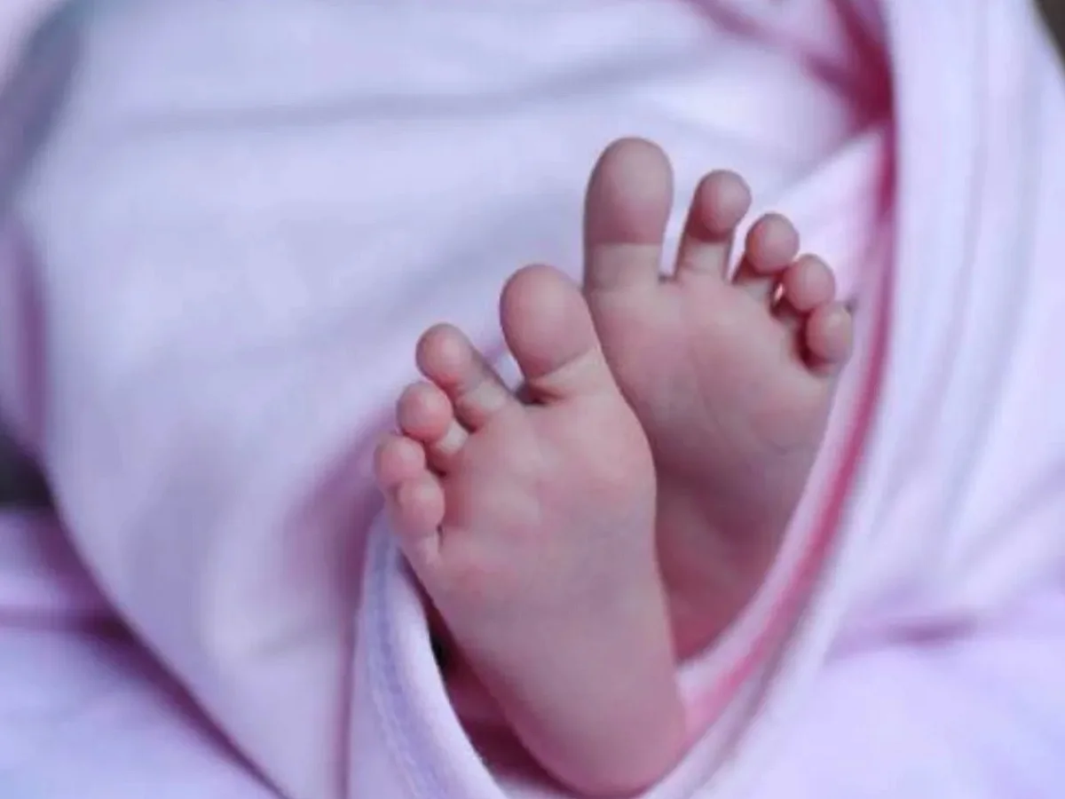 ब्रैम्पटन के एक घर से नवजात बच्चे का शव बरामद