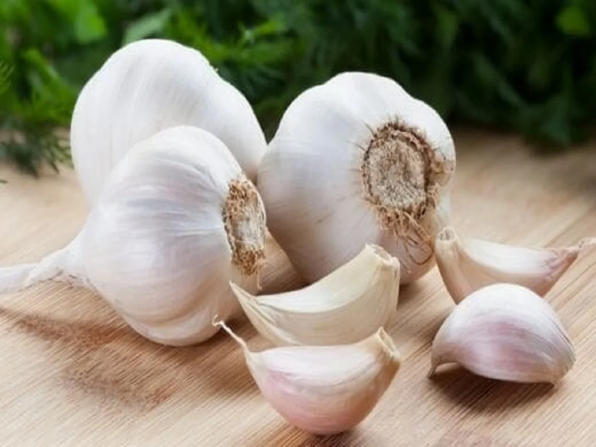 Health Tips: सुबह खाली पेट लहसुन खाने से सेहत को मिलते हैं ये गजब के फायदे