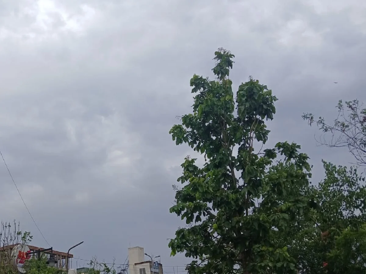 Rajasthan Weather Update: जयपुर सहित प्रदेश के 20 जिलों के लिए जारी हुआ आंधी-बारिश का ऑरेंज अलर्ट