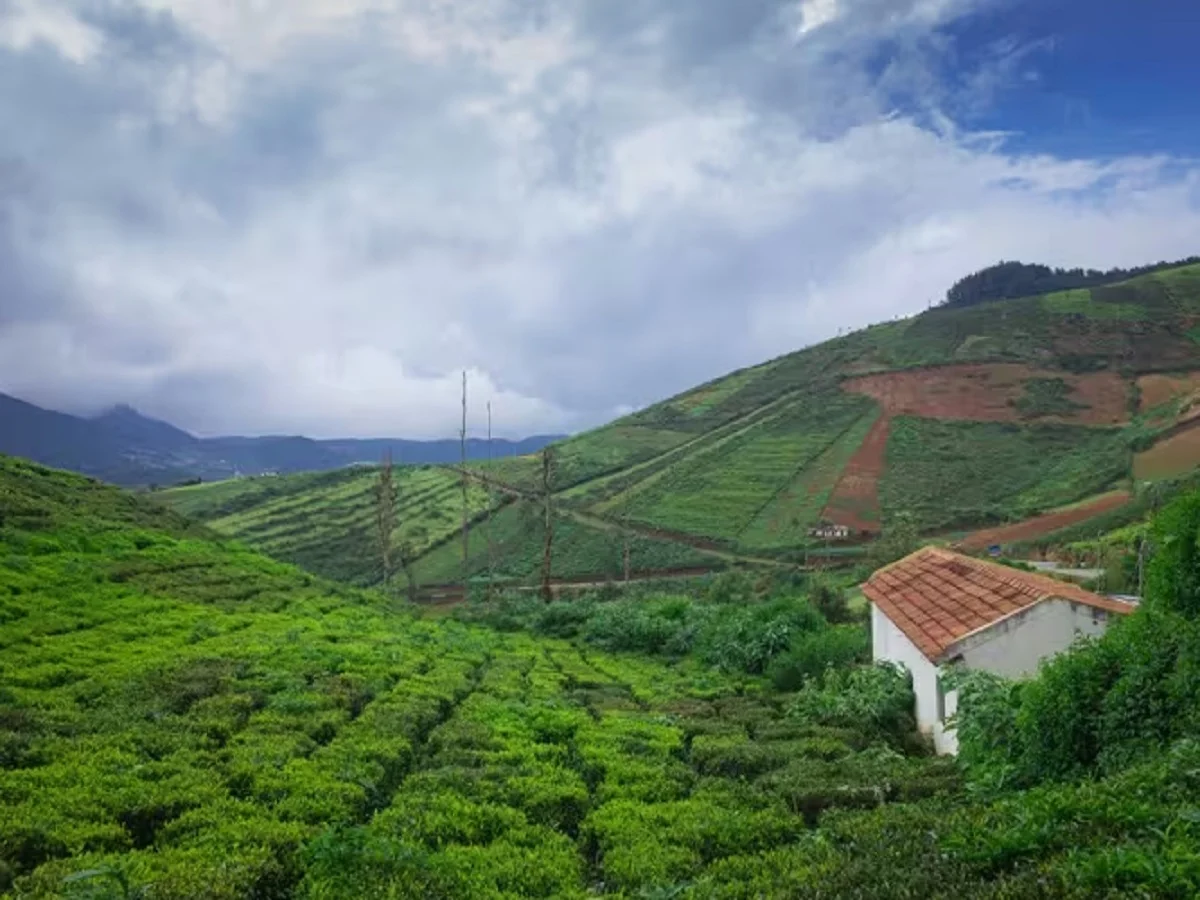 Travel Tips: भारत का स्कॉटलैंड है कूर्ग, 5,000 रुपए से भी कम बजट में कर सकते हैं इसकी खूबसूरती का दीदार