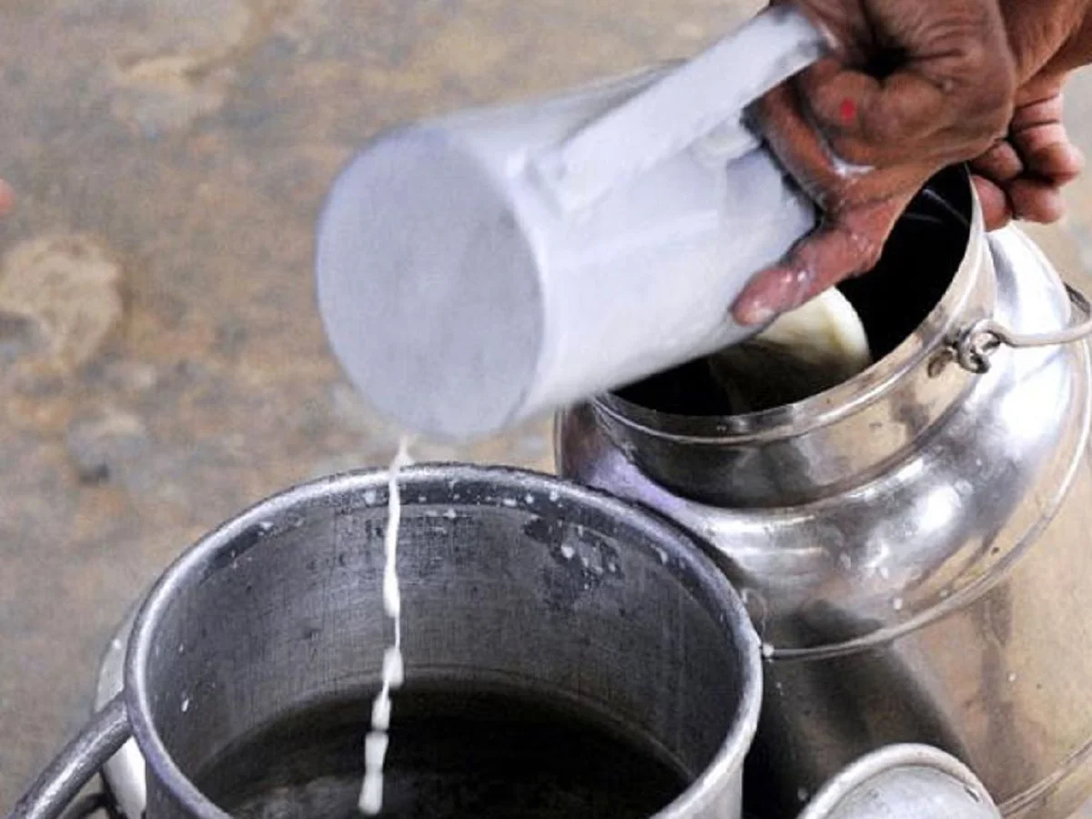 दूध में पानी मिला हुआ है या नहीं, घर में ही ऐसे कर लें चेक