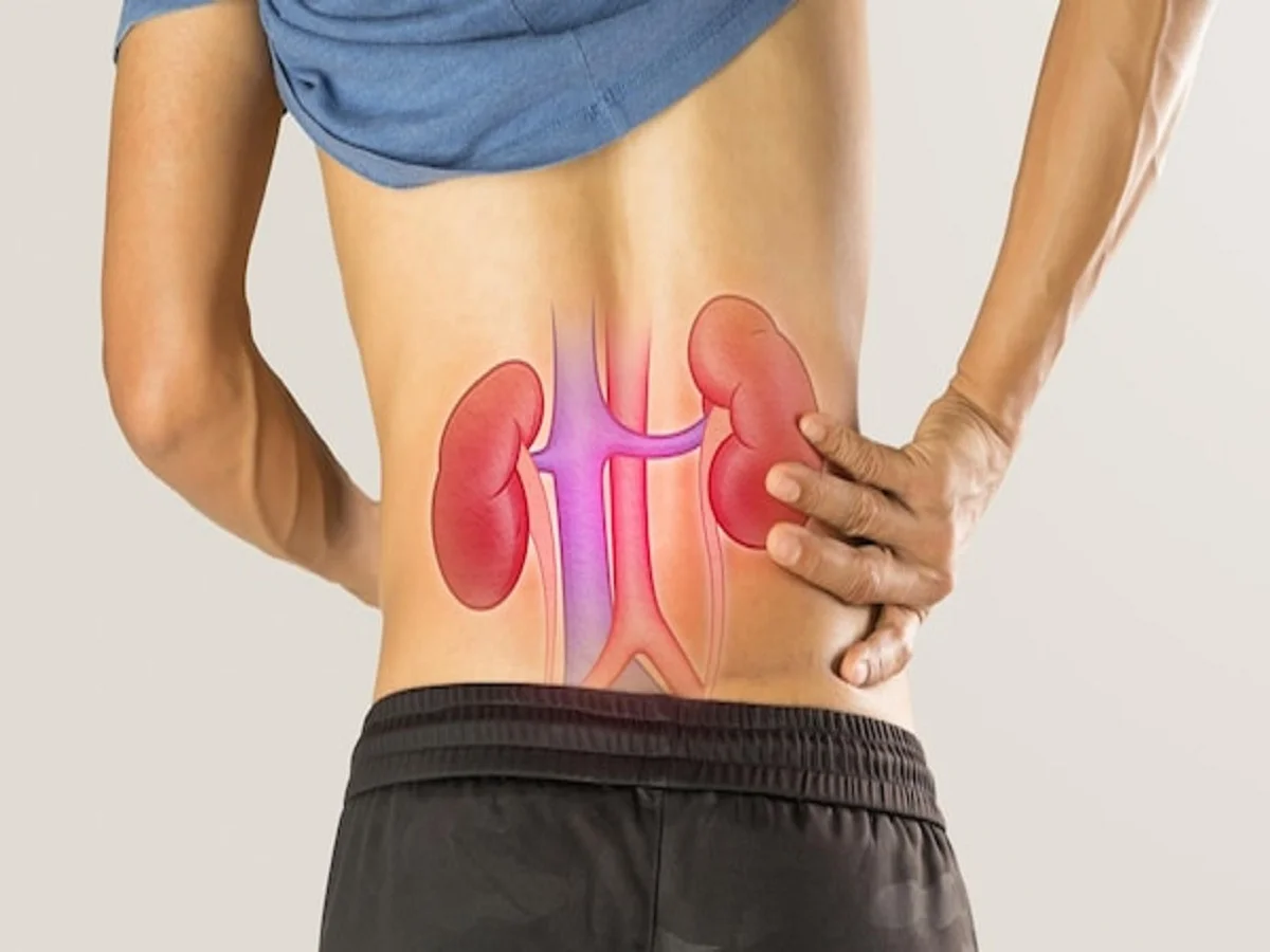 Health Tips: किडनी पर बुरा प्रभाव डालती हैं ये आदतें, तुरंत छोड़ दें