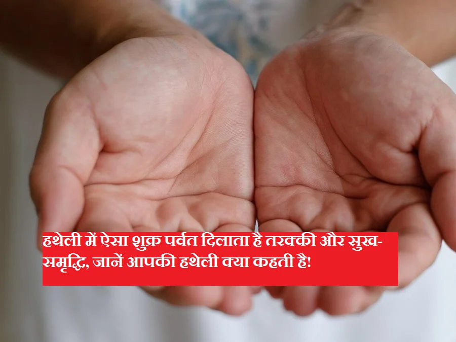 हथेली में ऐसा शुक्र पर्वत दिलाता है तरक्की और सुख-समृद्धि, जानें आपकी हथेली क्या कहती है!