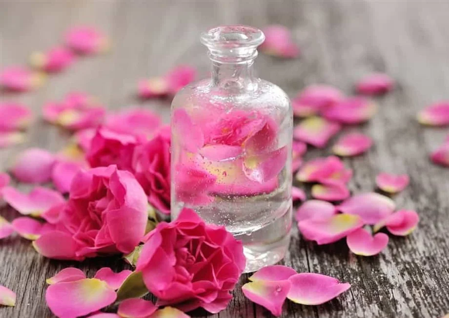 Skin care tips:  इस प्रकार करें रोजाना गुलाब जल का उपयोग, चेहरे पर नहीं होंगे पिंपल्स