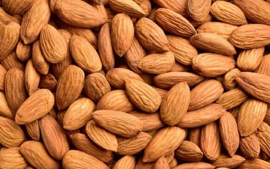 Health Tips: ज्यादा बादाम खाना भी सेहत के लिए होता है हानिकारक, झेलनी पड़ सकती हैं ये परेशानियां