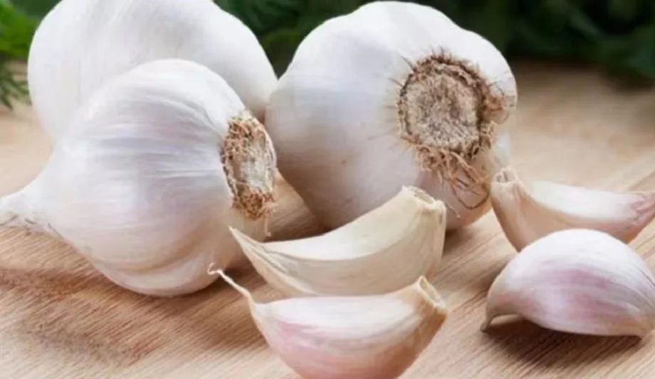 Health Tips: रोजाना सुबह खाली पेट लहसुन की एक कली का करें सेवन, सेहत को मिलेंगे ये गजब के फायदे 