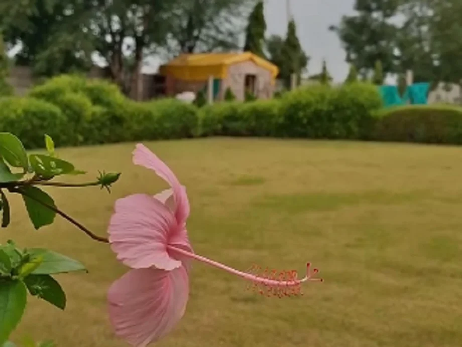 Travel Tips: तीज के त्योहार को Trishala Farmhouse पर बना लें यादगार, मिलेंगी कई प्रकार की सुविधाएं