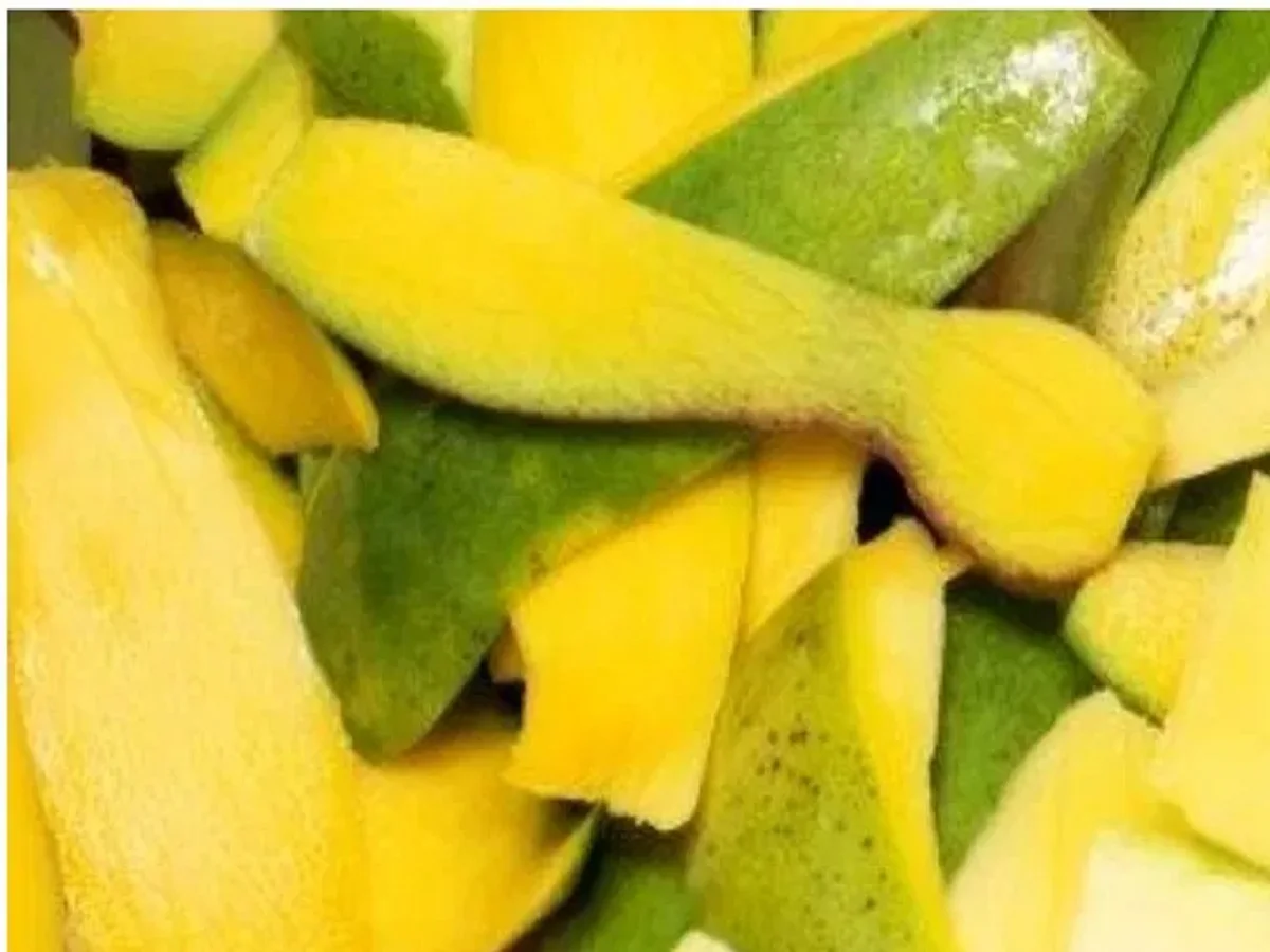 Beauty Tips: आम का छिलका भी बढ़ा देता है चेहरे की खूबसूरती, इस प्रकार बना लें फेस पैक