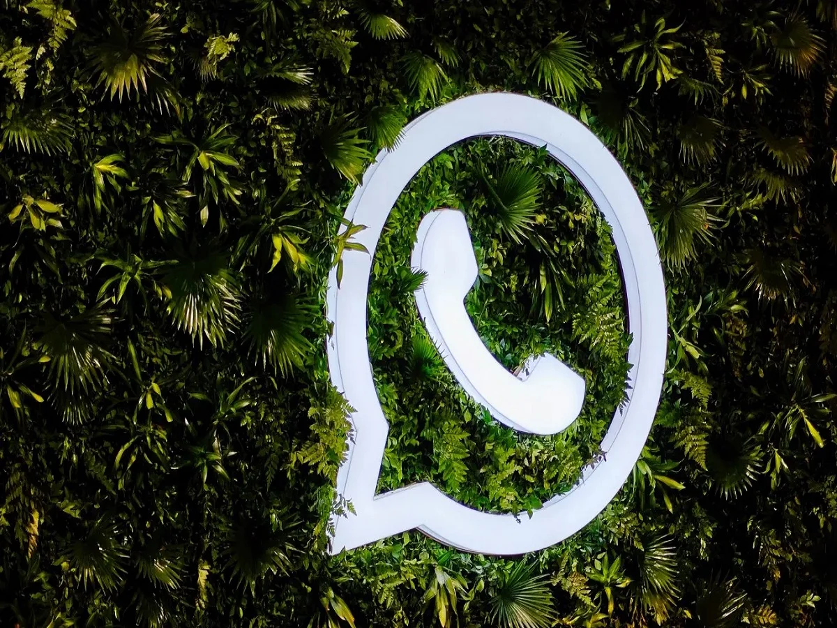 Tech Tips: कुछ खास लोगों से आप छिपा सकते हैं अपना WhatsApp स्टेटस, ये है आसान प्रोसेस