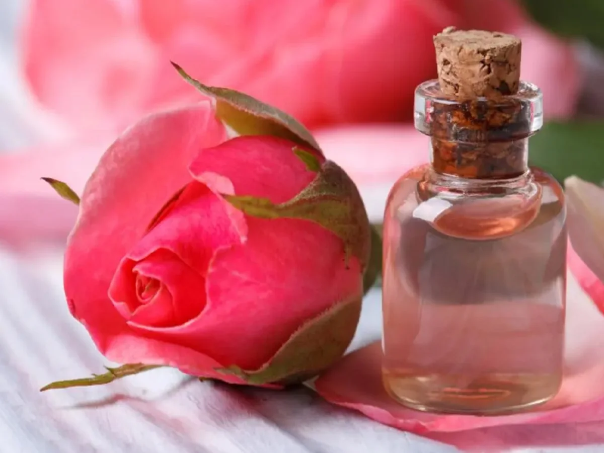 Beauty Tips: चेहरे की खूबसूरती बढ़ा देता है गुलाब जल, इस प्रकार कर लें उपयोग