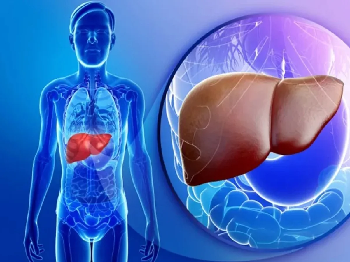Health Tips: लिवर के लिए हानिकारक होती हैं ये चीजें, बना लें दूरी