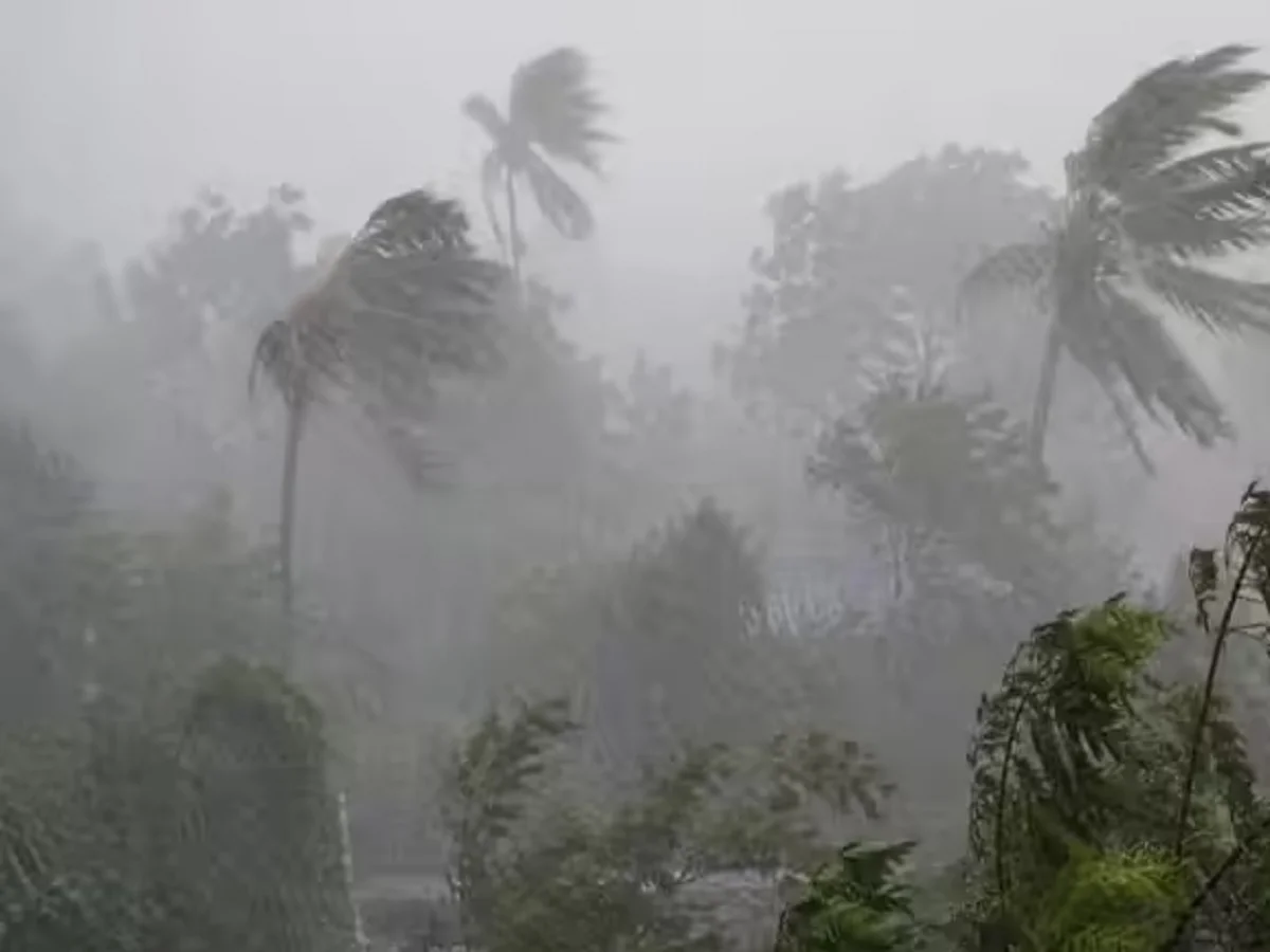 National Weather Forecast: राजस्थान सहित देश के 10 राज्यों के लिए जारी हुआ बारिश-आंधी का अलर्ट, ये जिले रहेंगे प्रभावित