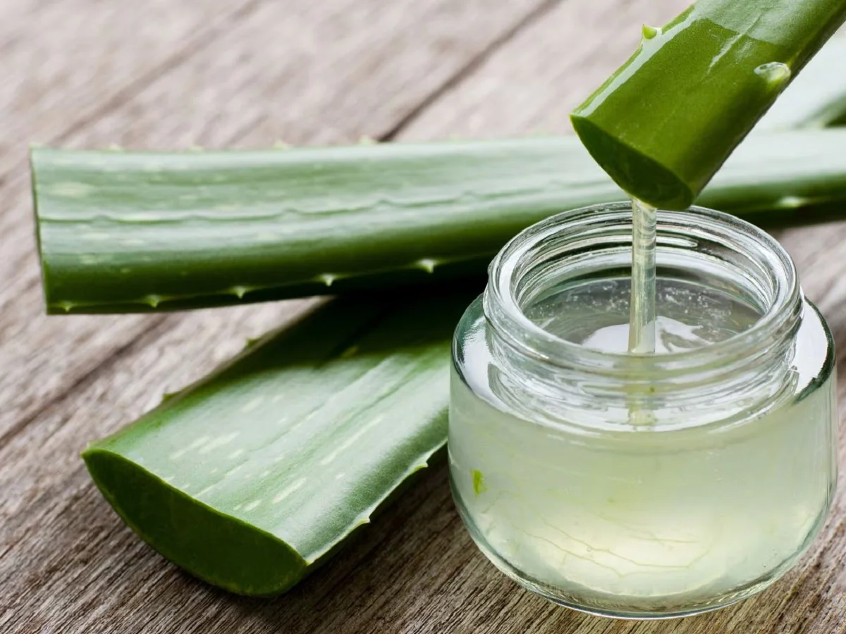 Skincare Tips: एलोवेरा से भी त्वचा को हो सकता है नुकसान, उपयोग करने से पहले कर लें ऐसा